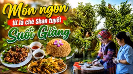 Khám phá Lào Cai: Trải nghiệm món ngon từ lá chè Shan tuyết Suối Giàng