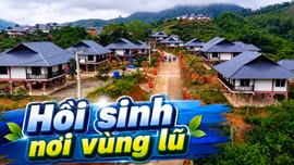 Hồi sinh nơi vùng lũ