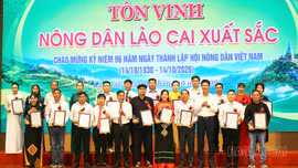 Tôn vinh 96 “Nông dân Lào Cai xuất sắc” năm 2026