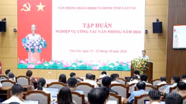 Tập huấn nghiệp vụ công tác văn phòng năm 2026