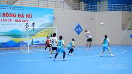 8 đội bóng tranh tài tại Giải Bóng đá nữ tỉnh Lào Cai năm 2026