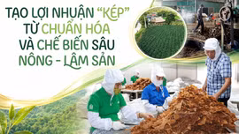 Tạo lợi nhuận “kép” từ chuẩn hóa và chế biến sâu nông - lâm sản
