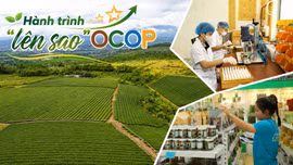 Hành trình “lên sao” OCOP