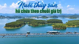 Nuôi thủy sản hồ chứa theo chuỗi giá trị