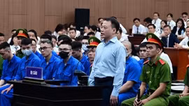 'Shark' Bình khai gì về hành vi rửa tiền hơn 318 tỷ đồng cho Mr Pips?