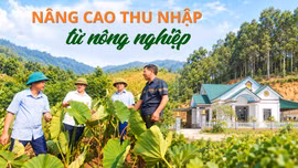 Nâng cao thu nhập từ nông nghiệp