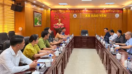Phó Chủ tịch UBND tỉnh Giàng Quốc Hưng định hướng nhân rộng mô hình trồng cây bồ đề tại Bảo Yên