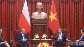 Tổng Bí thư, Chủ tịch nước Tô Lâm tiếp Thủ tướng Ba Lan Donald Tusk
