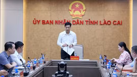 Lào Cai tham dự Hội nghị triển khai Chương trình mục tiêu quốc gia phát triển văn hóa - xã hội, nông thôn, dân tộc miền núi
