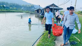 Cầu Thia sẵn sàng tổ chức Hội thi “Bắt cá ruộng”, tạo điểm nhấn du lịch Mường Lò