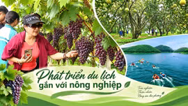 Phát triển du lịch gắn với nông nghiệp