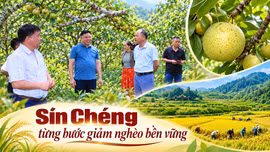 Sín Chéng từng bước giảm nghèo bền vững