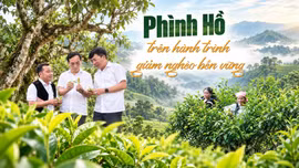 Phình Hồ trên hành trình giảm nghèo bền vững