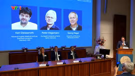 Giải Nobel Y sinh 2026: Dùng ánh sáng để điều khiển tế bào thần kinh
