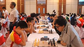 312 kỳ thủ tranh tài tại Giải vô địch cờ vua, cờ vây quốc gia năm 2026