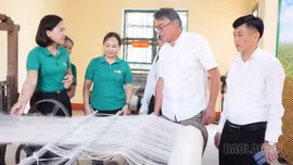 Đoàn công tác Trung ương Hội Nông dân Việt Nam khảo sát, nghiên cứu phát triển du lịch nông nghiệp tại Trấn Yên