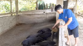 Vốn ưu đãi tiếp sức thanh niên Khao Mang khởi nghiệp