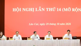 Hội nghị Ban Chấp hành Đảng bộ tỉnh lần thứ 14 (mở rộng): Tập trung tháo gỡ điểm nghẽn, phấn đấu hoàn thành mục tiêu tăng trưởng hai con số
