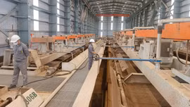 Lào Cai tạo việc làm cho gần 30.000 lao động trong 10 tháng