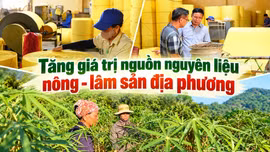 Tăng giá trị nguồn nguyên liệu nông - lâm sản địa phương