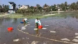Chỉ thị của Bộ Chính trị về bảo đảm an ninh môi trường trong thời kỳ phát triển mới