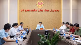 Lào Cai tập trung hoàn thiện công tác chuẩn bị Hội nghị xúc tiến đầu tư, thương mại lĩnh vực nông nghiệp năm 2026