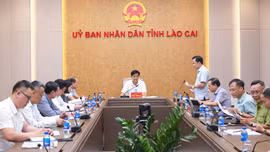 Lào Cai chuẩn bị điều kiện tham gia thị trường tín chỉ carbon rừng