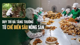 Duy trì đà tăng trưởng từ chế biến sâu nông sản