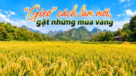 "Gieo" cách làm mới, gặt những mùa vàng
