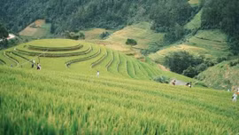 Đưa di sản thành sản phẩm du lịch ở Púng Luông