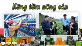 Nâng tầm nông sản