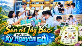 Khi sản vật Tây Bắc bước vào kỷ nguyên số