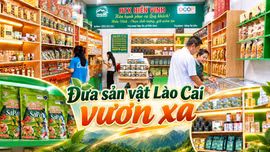 Điểm bán hàng OCOP - cầu nối đưa sản vật Lào Cai vươn xa