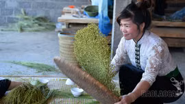 Tú Lệ thu khoảng 260 tỷ đồng mỗi năm từ sản xuất cốm