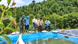 Người tiên phong nuôi cá nước lạnh trên đỉnh Lùng Cúng
