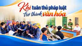 Khi tuân thủ pháp luật trở thành văn hóa