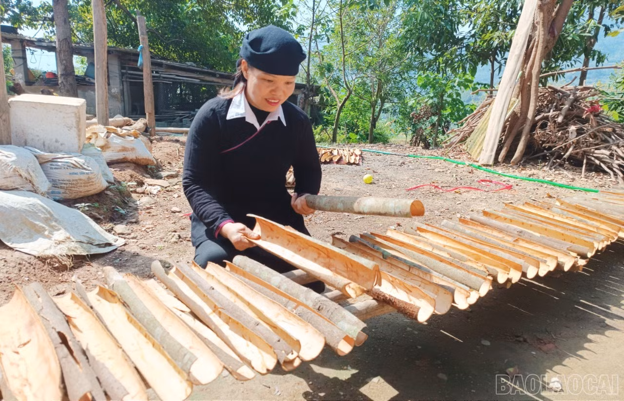 Gia đình chị Bàn Thị Lương, thôn Thẩm Phúc làm giàu với mô hình dịch vụ ăn uống và trồng quế.