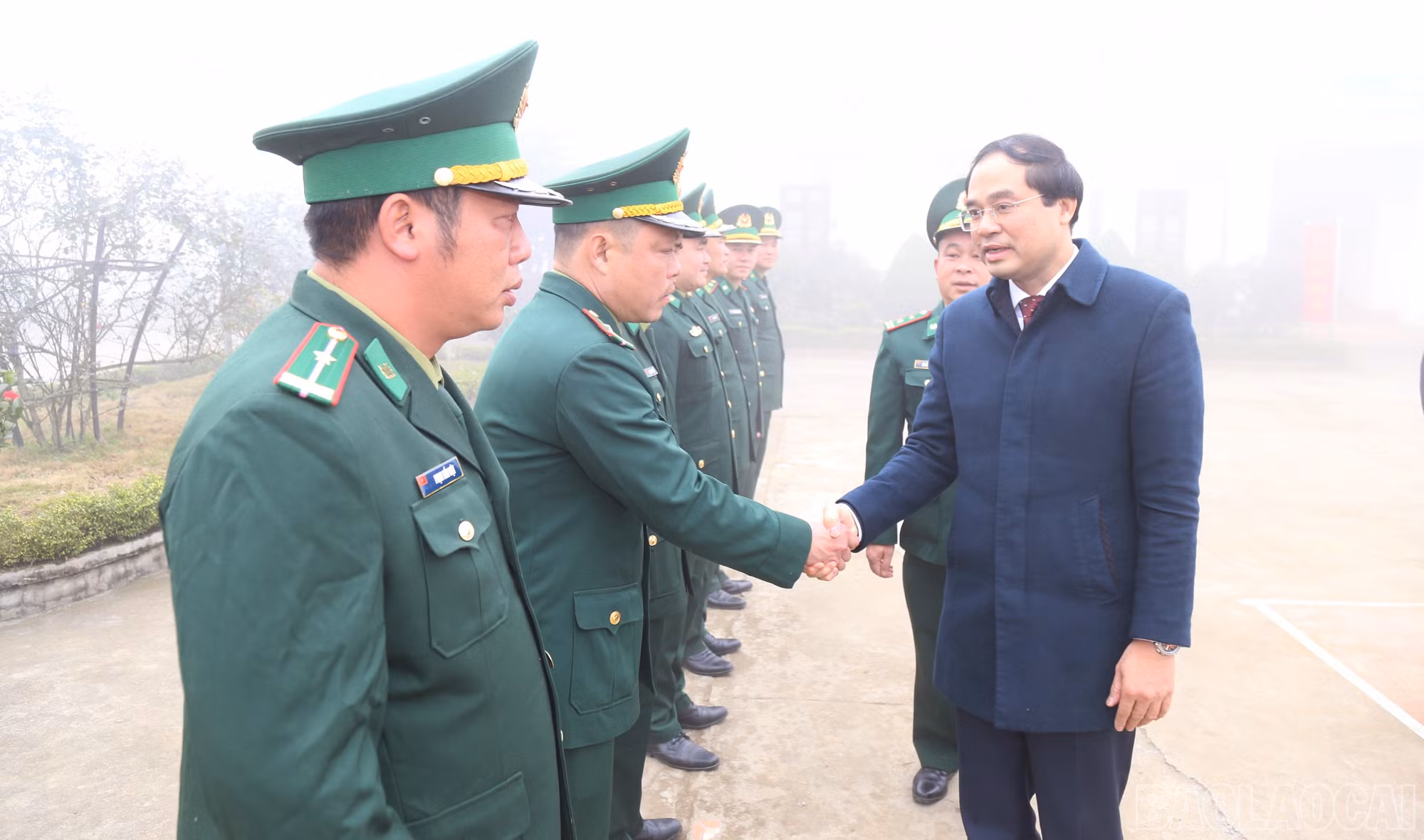 baolaocai-br_c8.jpg