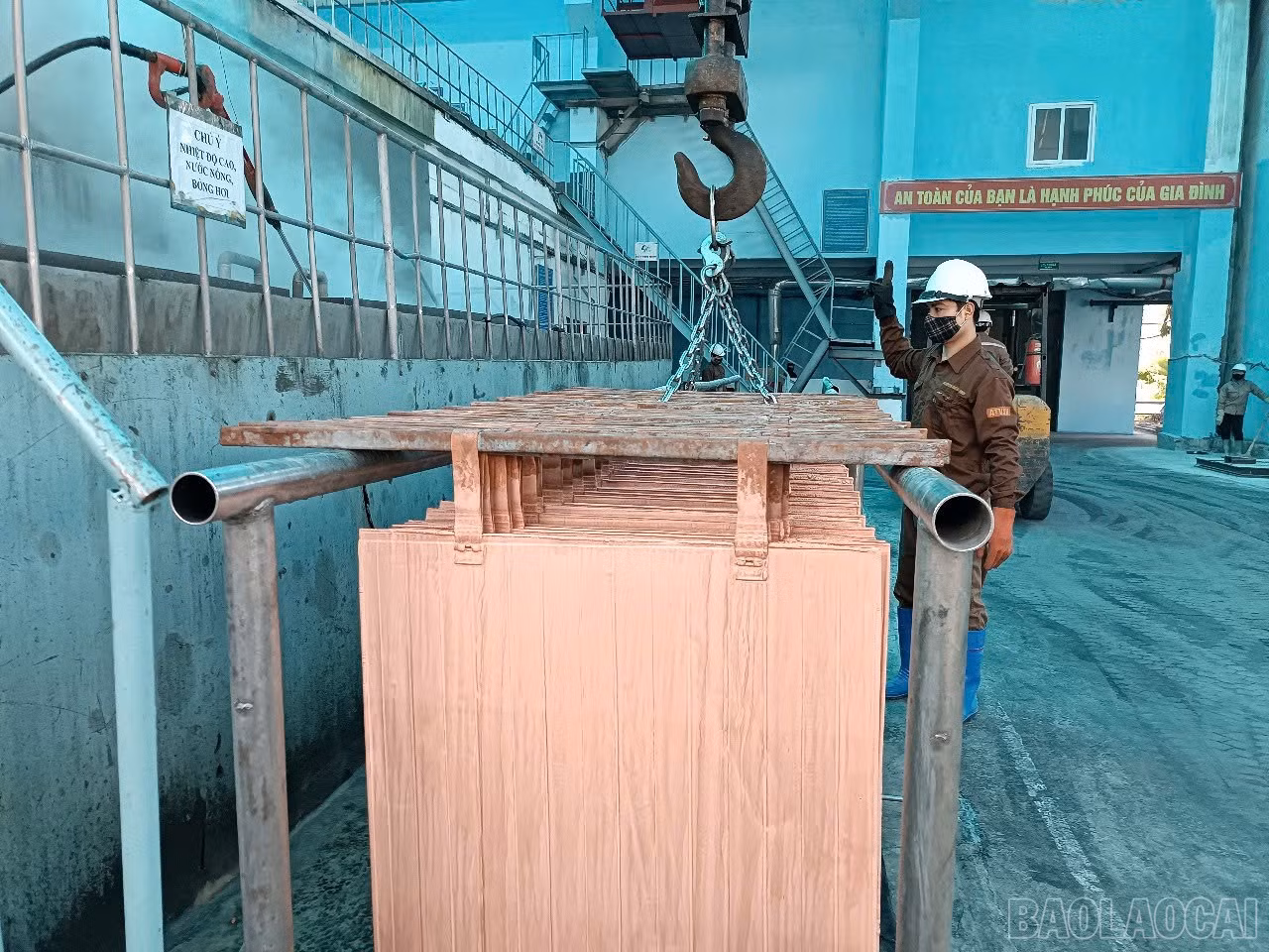 baolaocai-br_v9.jpg