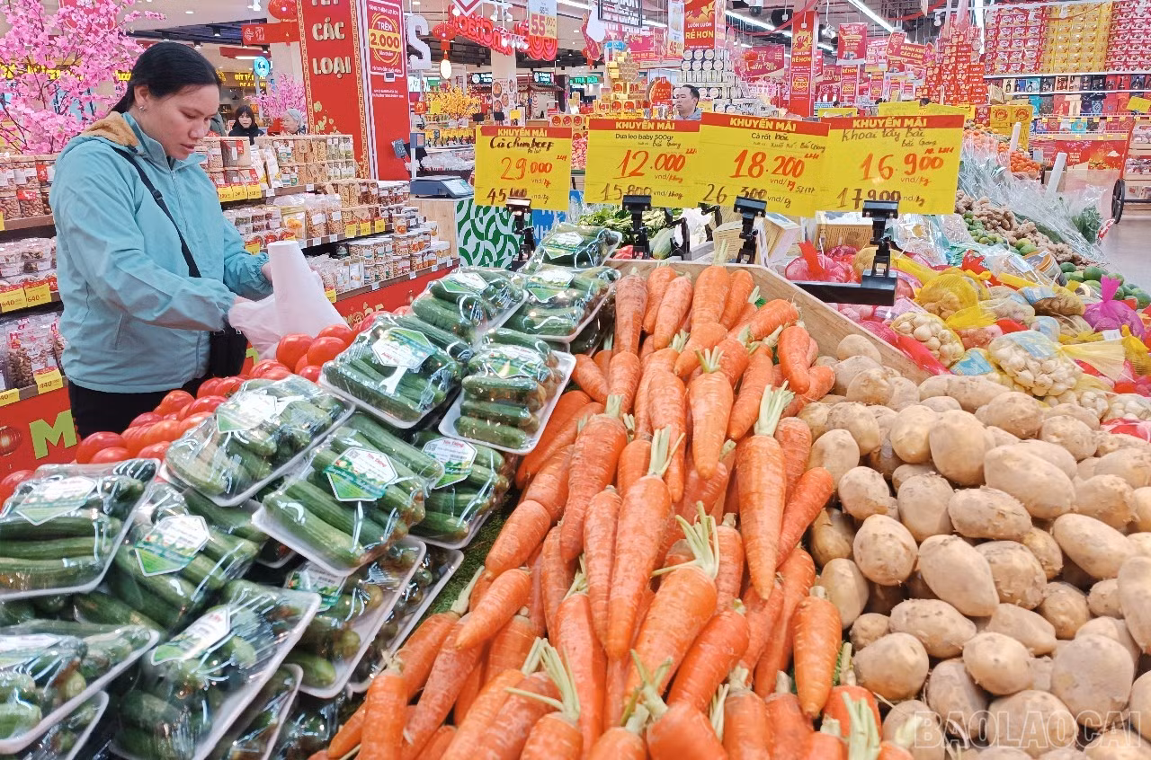 baolaocai-br_a111.jpg