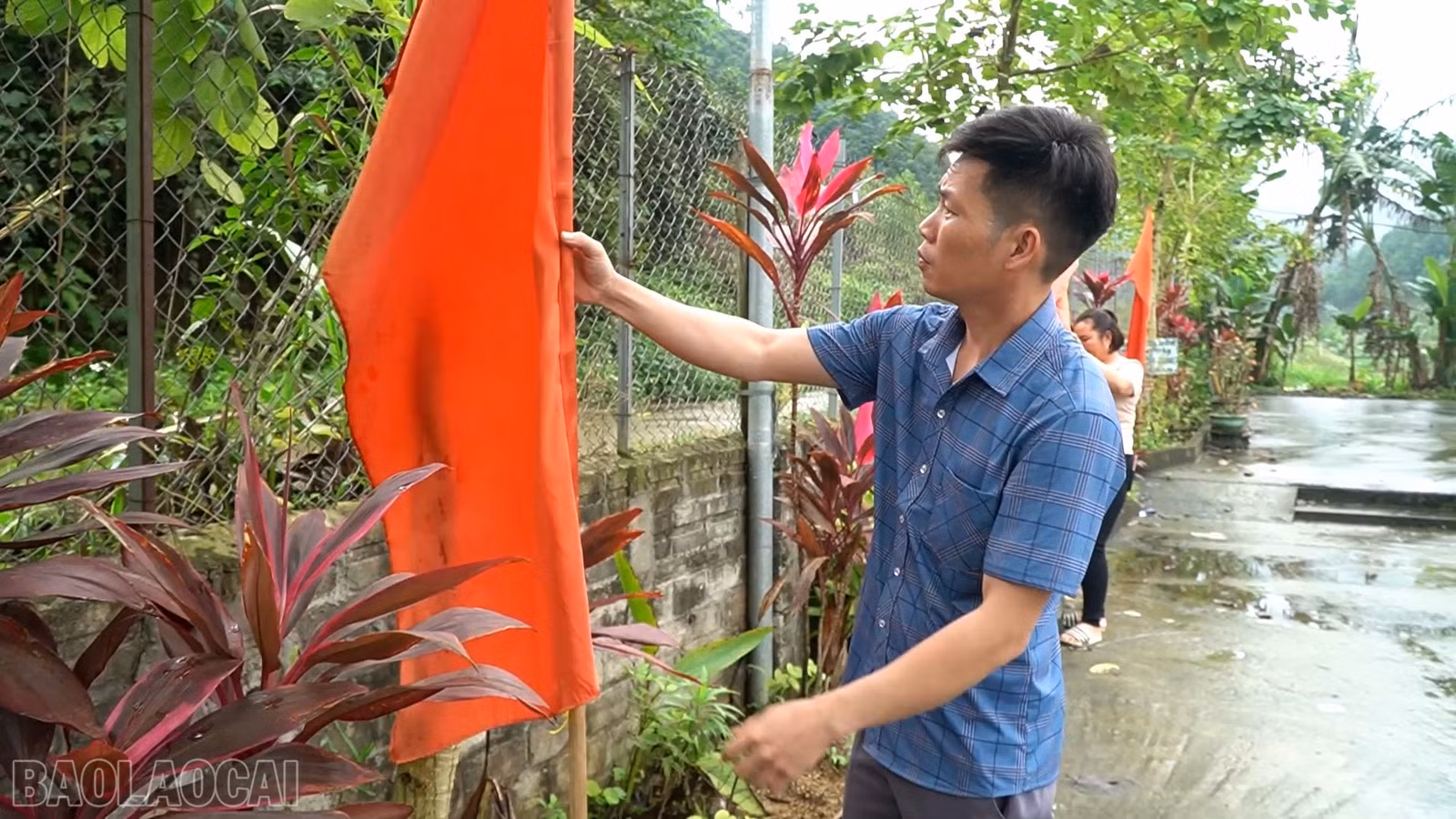 baolaocai-bl_baucuchauque2.jpg