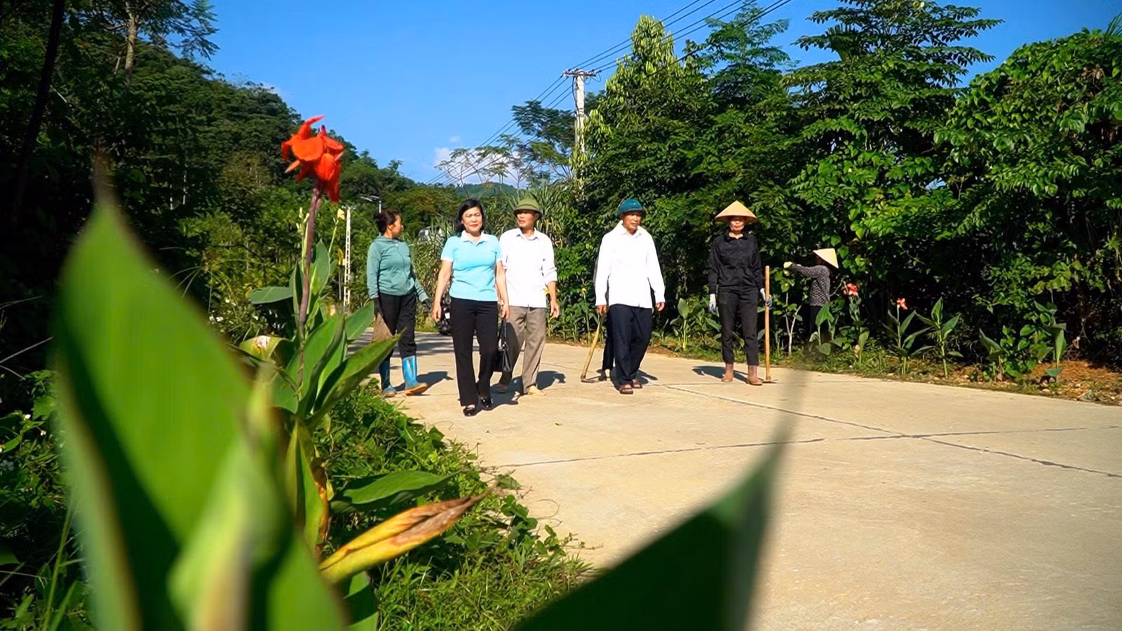 duong-hoa.jpg