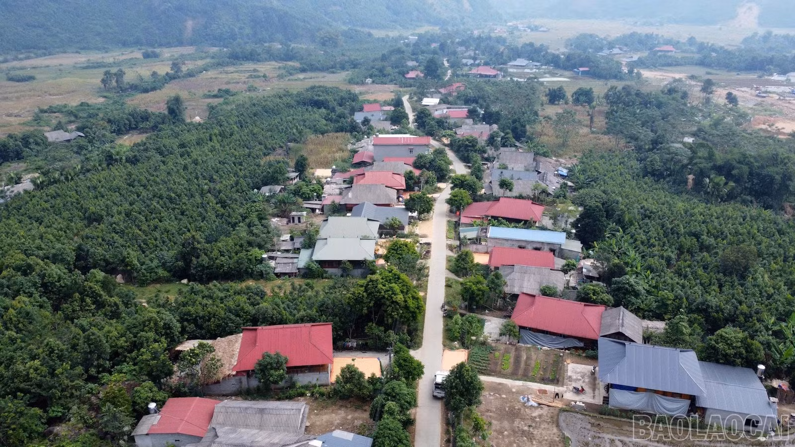 baolaocai-br_pdthuong.jpg
