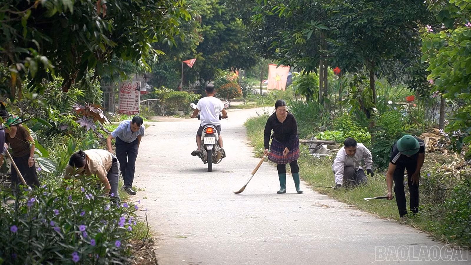 baolaocai-br_pdt-3312.jpg