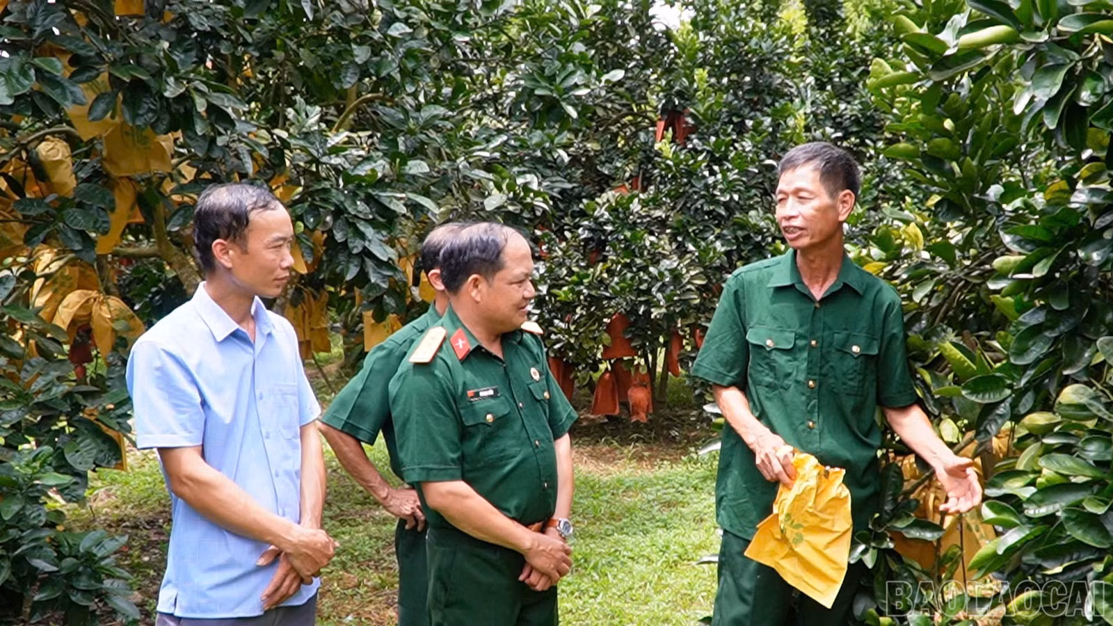 baolaocai-br_thac-ba-1.jpg