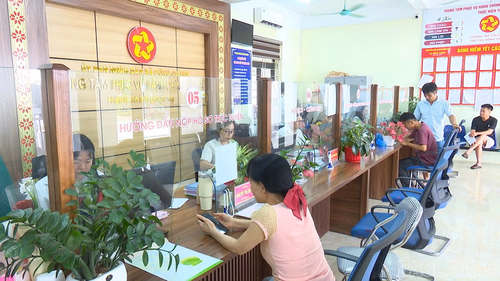baolaocai-br_dcuong-4.jpg