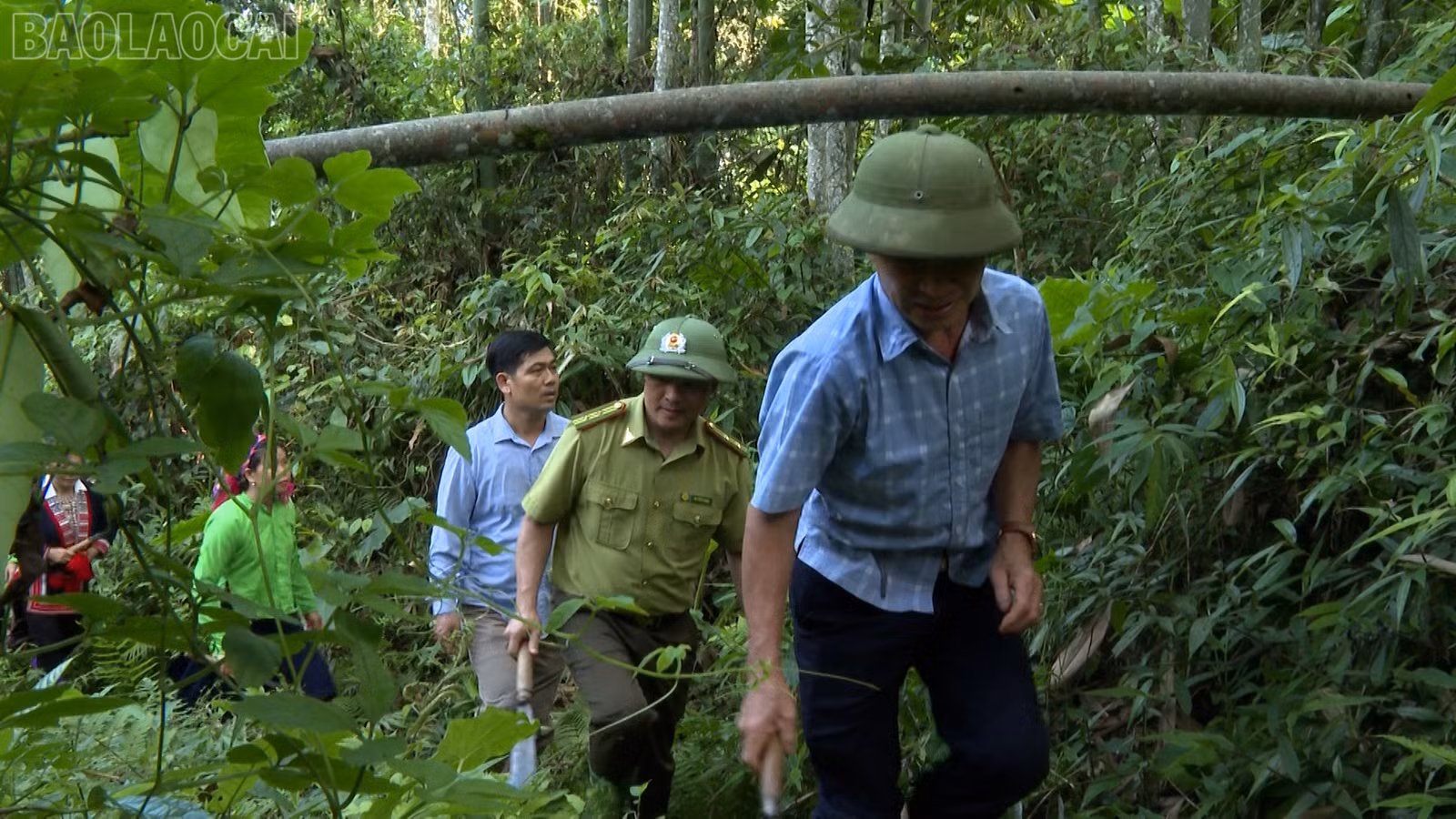 baolaocai-tl_anh-16.jpg