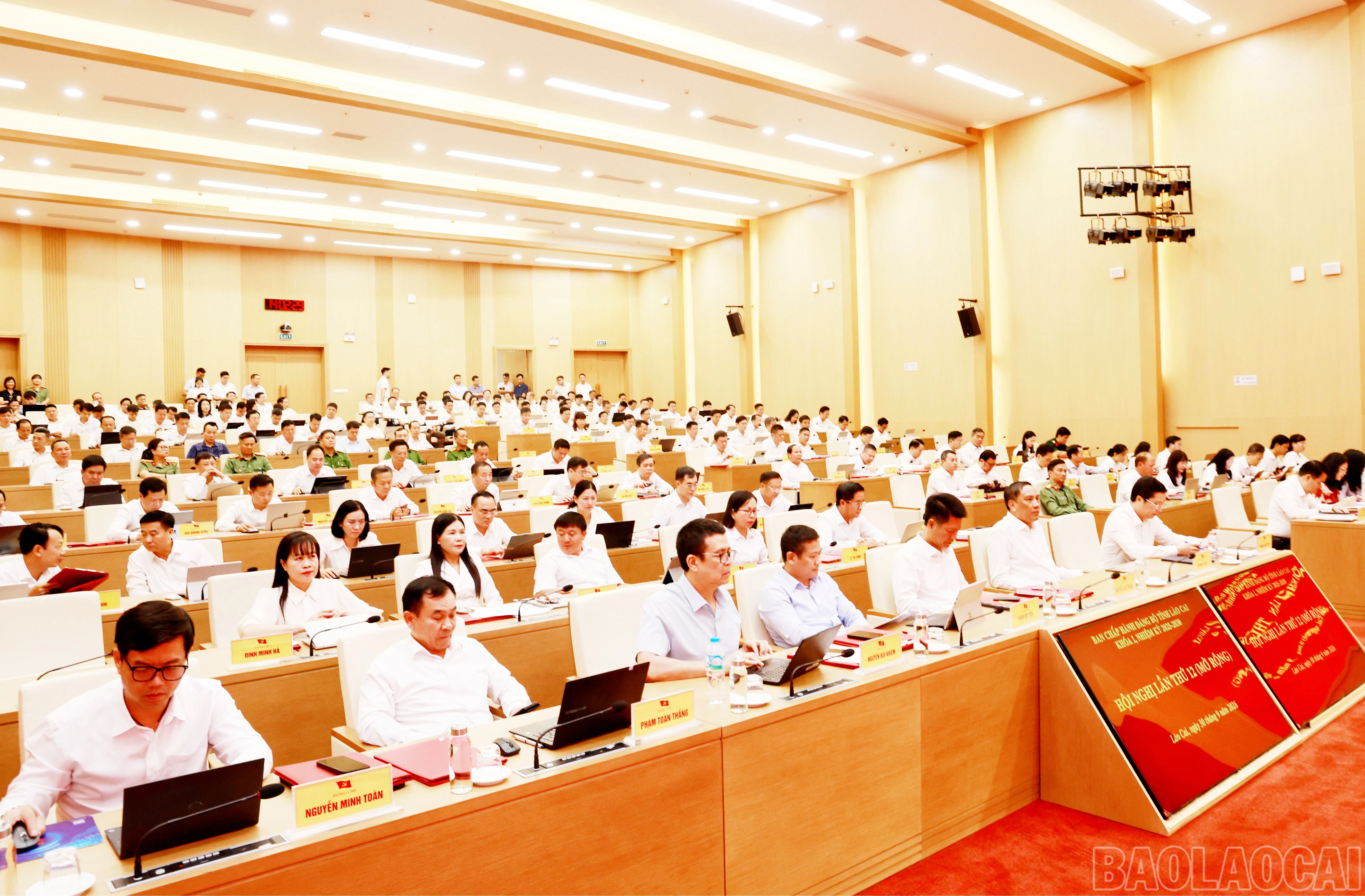 baolaocai-br_060a1097.jpg