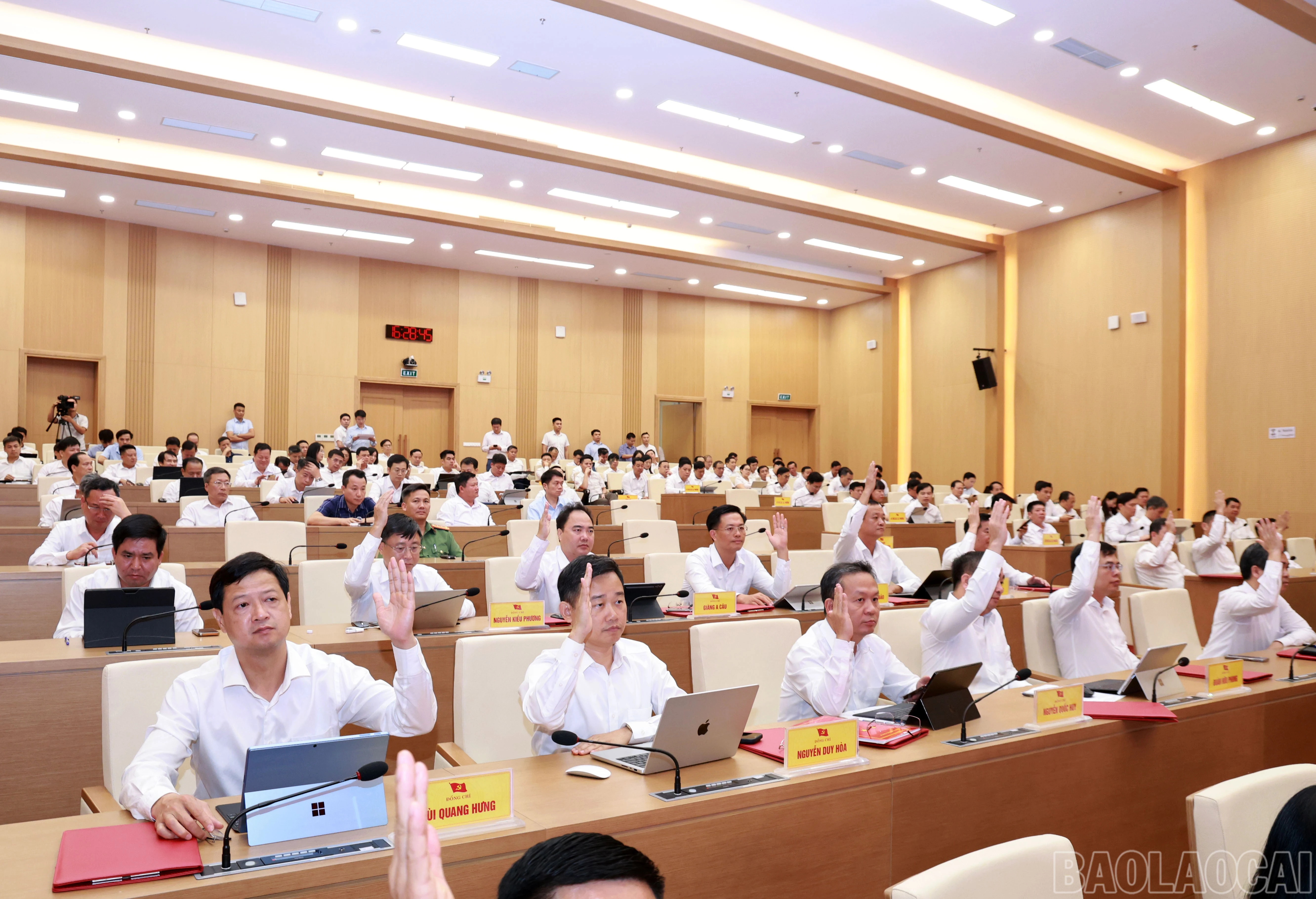 baolaocai-br_060a1215.jpg