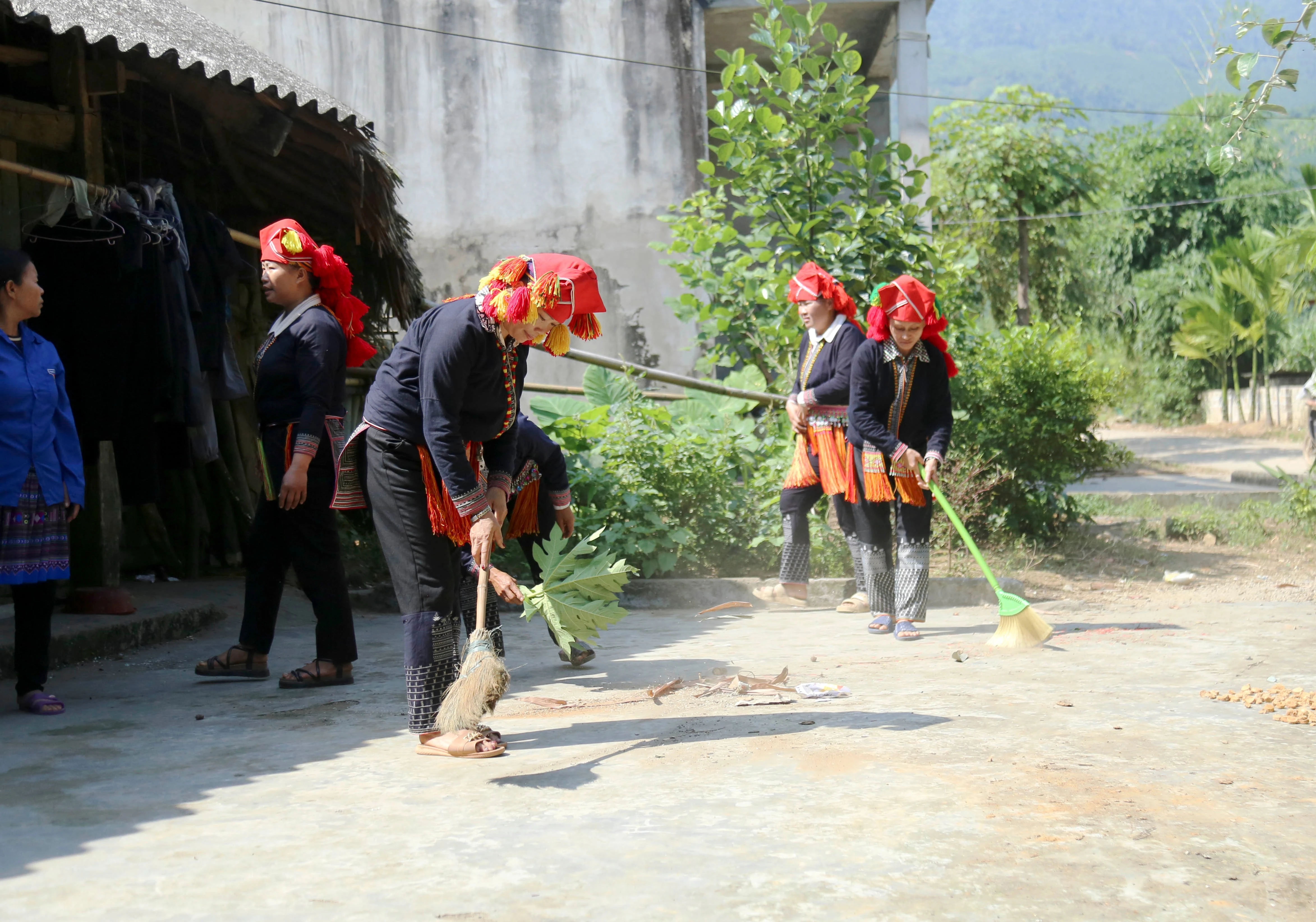 img-8230.jpg